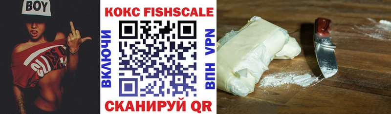 наркота  Дмитров  Кокаин FishScale 