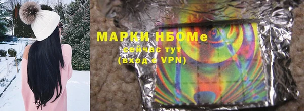 стаф Алексин