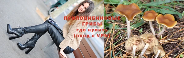 бошки Каменск-Шахтинский