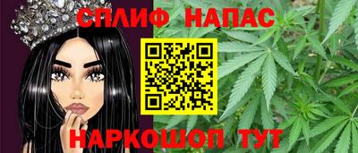 дмт Бийск