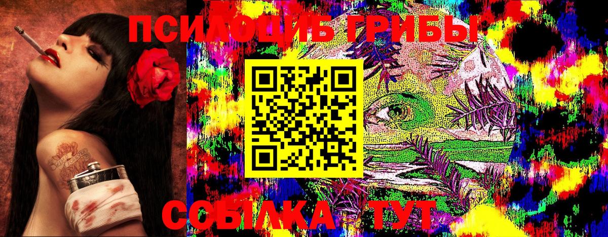 Галлюциногенные грибы Psilocybe  Псилоцибиновые грибы ЛСД  Вход с VPN  Дмитров 