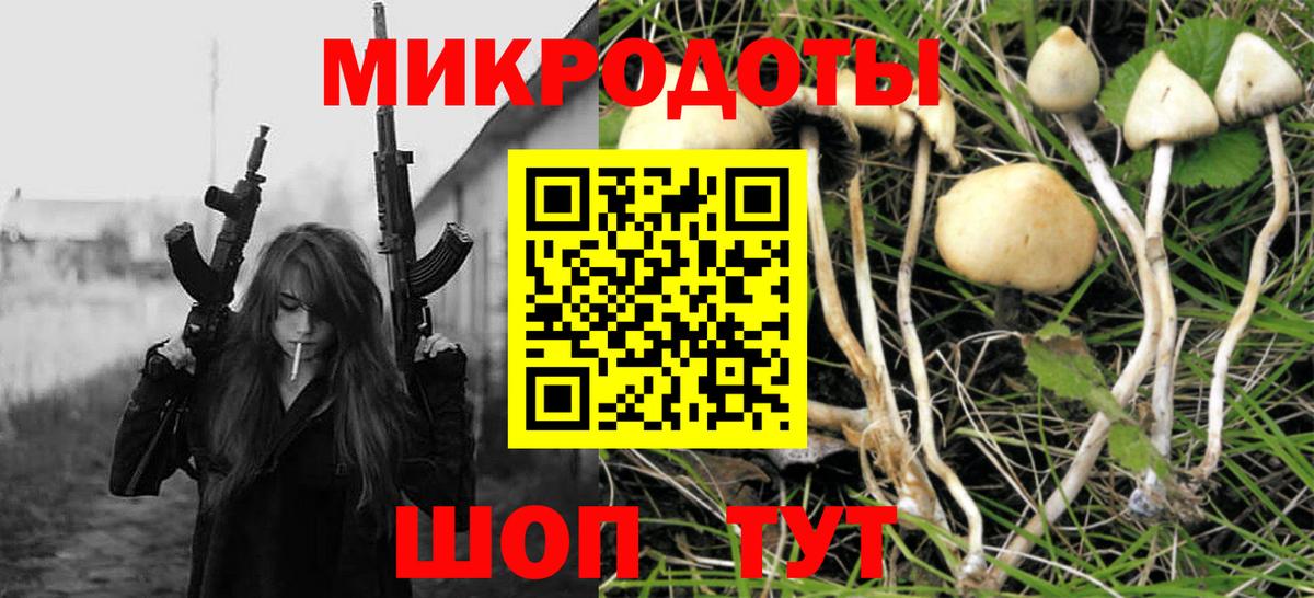 Галлюциногенные грибы мухоморы  наркота  Дмитров 