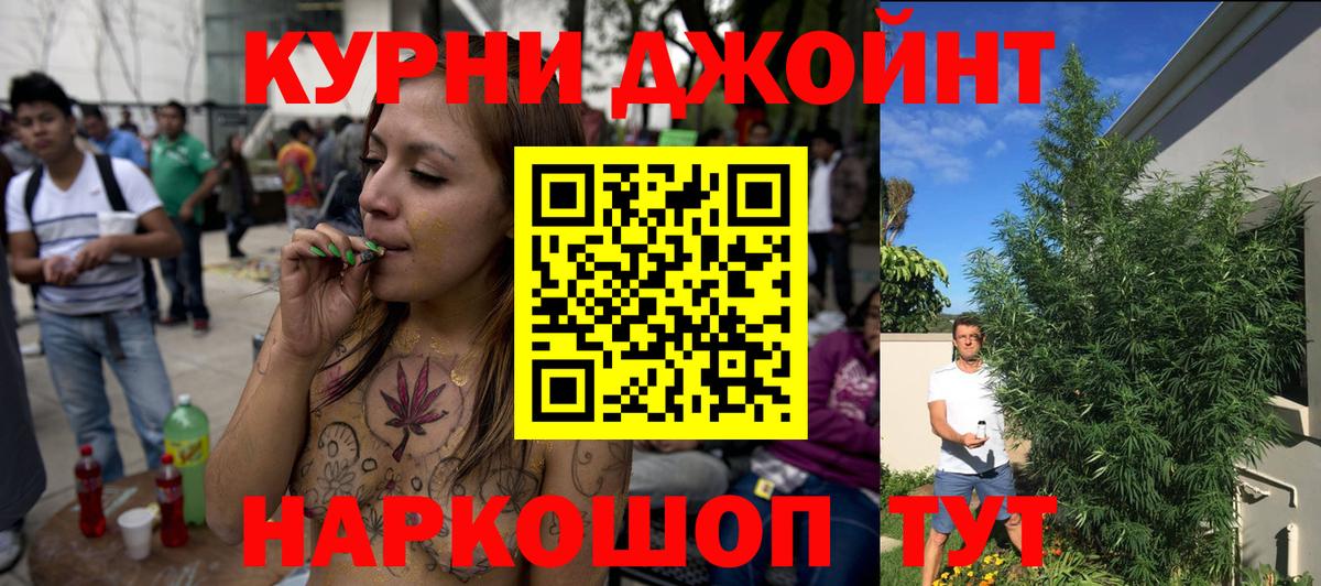 Конопля марихуана  Шишки марихуана план  Дмитров 